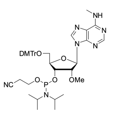 2'-OMe-rA(N-Me) CE Phosphoramidite