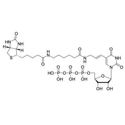 Biotin-11-UTP