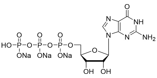 GTP, 100mM sodium solution
