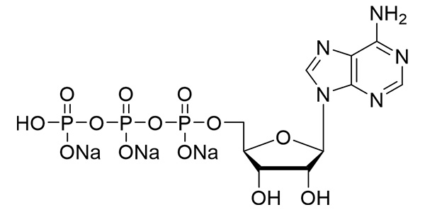 ATP, 100mM sodium solution