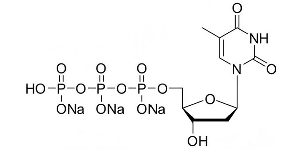 dTTP, 100mM sodium solution
