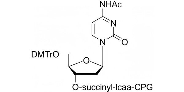 dC(N-Ac) CPG 1000