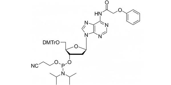dA(N-Pac) Phosphoramidite