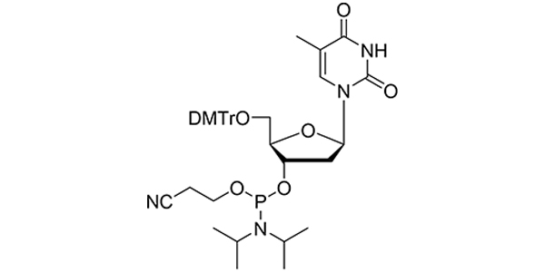 dT Phosphoramidite
