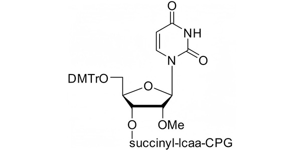 2'-OMe-rU CPG 1000