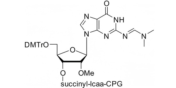 2'-OMe-rG(N-dmf) CPG 1000