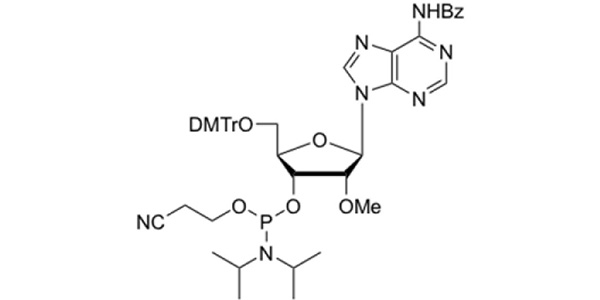 2'-OMe-rA(N-Bz) CPG 1000