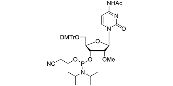 2'-OMe-rC(N-Ac) Phosphoramidite