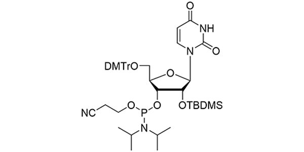 2'-OTBDMS-rU Phosphoramidite