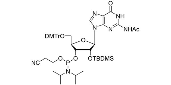 2'-OTBDMS-rG(N-Ac) Phosphoramidite