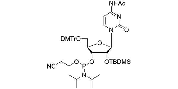 2'-OTBDMS-rC(N-Ac) Phosphoramidite