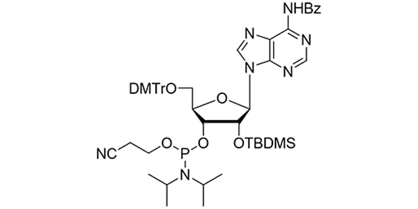2'-OTBDMS-rA(N-Bz) Phosphoramidite