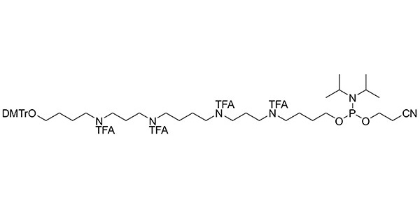 Spermine Phosphoramidite