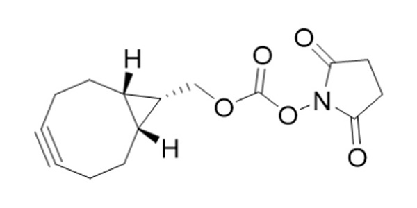 Endo BCN NHS Ester