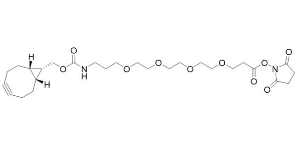 Endo BCN-PEG4 NHS Ester
