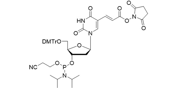 NHS-Carboxy-dT Phosphoramidite