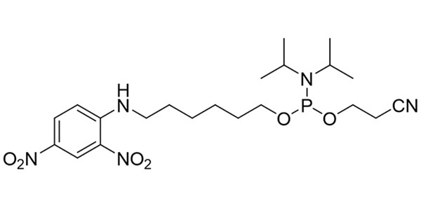 DNP Phosphoramidite