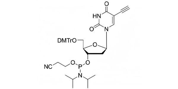 5-Ethynyl-dU Phosphoramidite