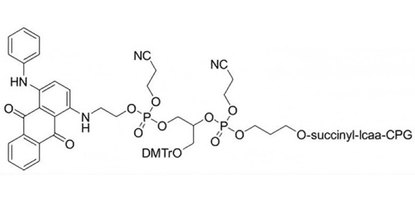 3'-TAO-D CPG 1000