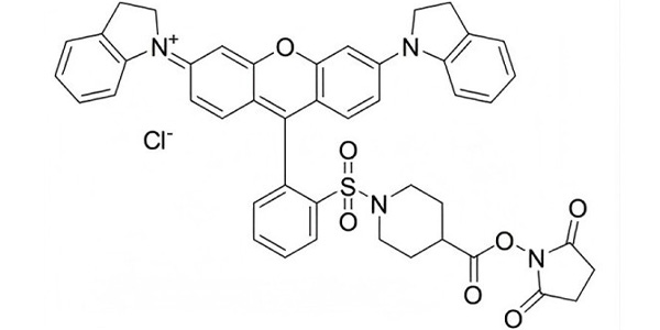 QSY21 NHS Ester