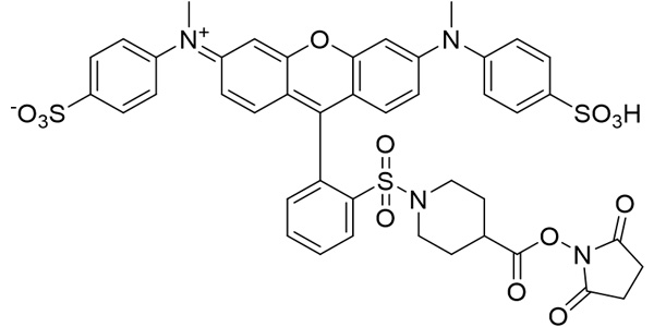 QSY9 NHS Ester