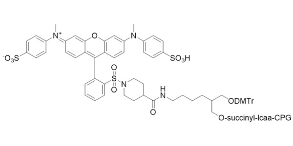 3'-QSY9 CPG 1000
