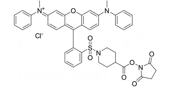 QSY7 NHS Ester