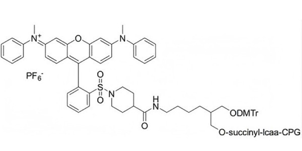3'-QSY7 CPG 1000