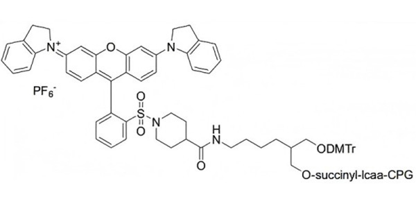 3'-QSY21 CPG 1000