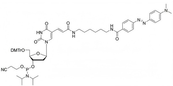 Dabcyl-dT Phosphoramidite