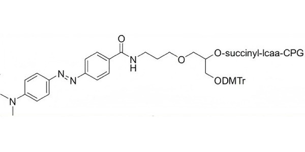 3'-Dabcyl CPG 1000