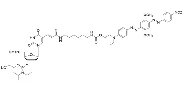 QD-2-dT Phosphoramidite (~BHQ-2)