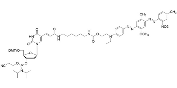 QD-1-dT Phosphoramidite (~BHQ-1)