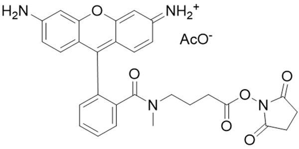 Rho110 NHS Ester