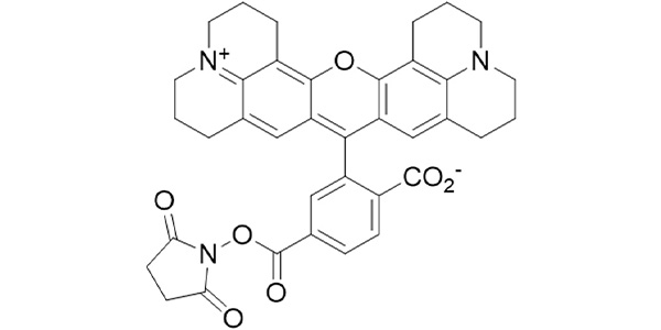 6-ROX NHS Ester