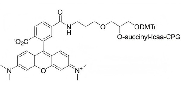 TAMRA CPG 1000