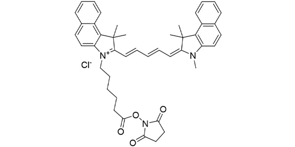 CY5.5 NHS Ester