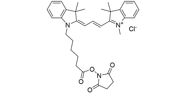 CY3 NHS Ester