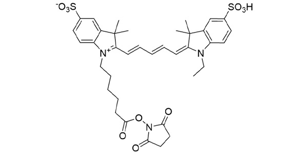 CY5-Sulfo NHS Ester