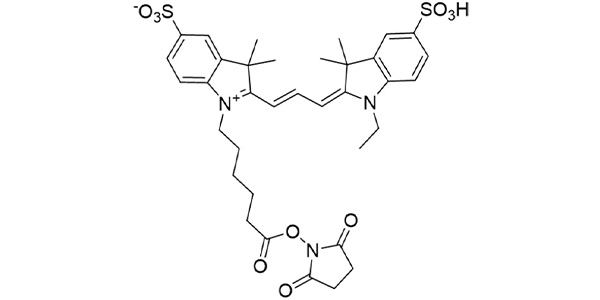 CY3-Sulfo NHS Ester