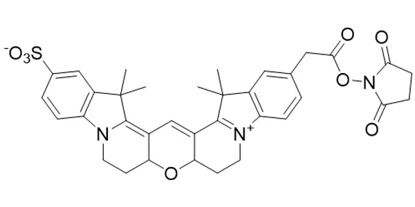 CY3B NHS Ester