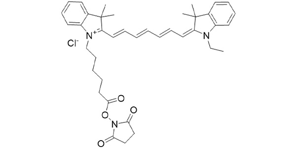 Quasar770 NHS Ester