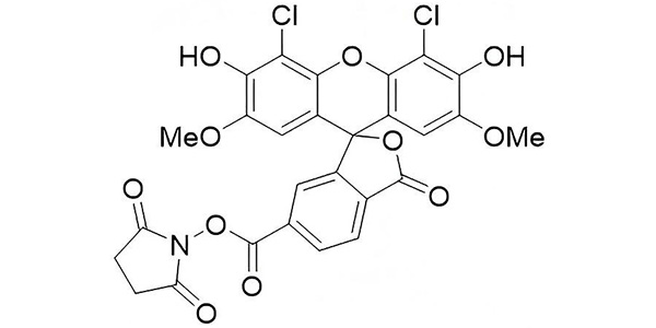 6-JOE NHS Ester