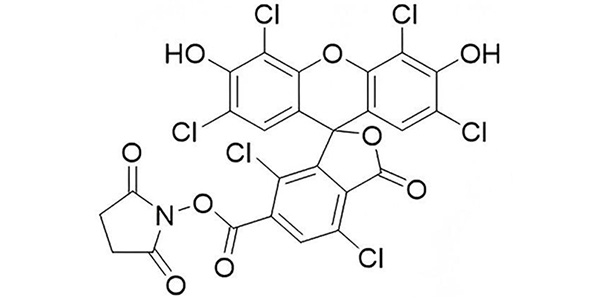 6-HEX NHS Ester
