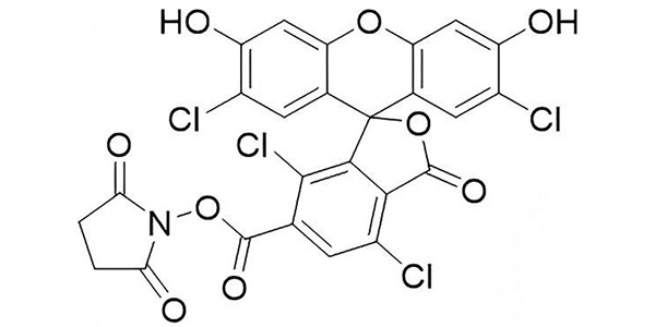 6-TET NHS Ester
