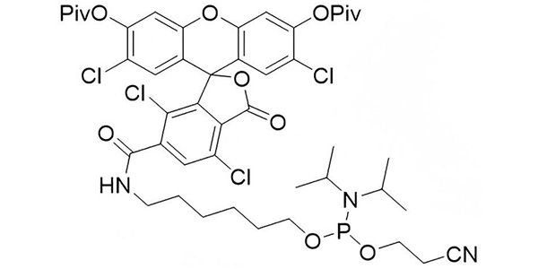 6-TET Phosphoramidite
