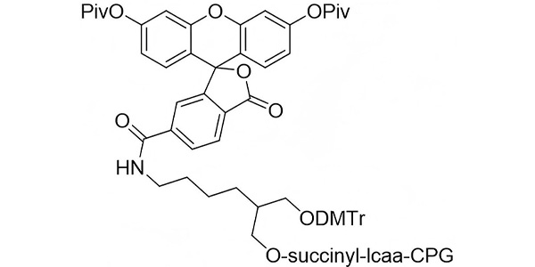 3'-(6-Fluorescein) CPG 1000