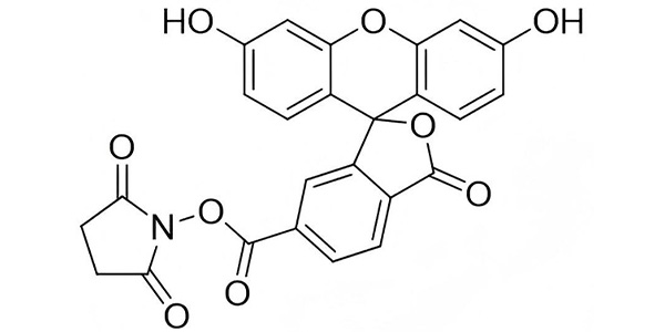6-FAM NHS Ester