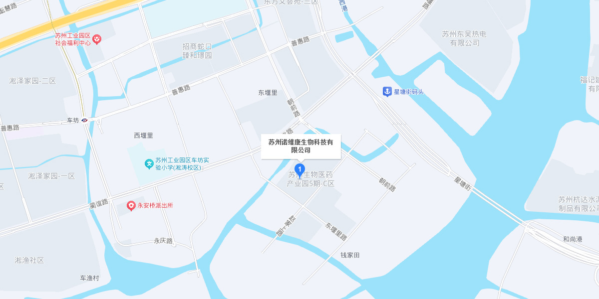 地图
