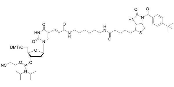 Biotin-dT Phosphoramidite